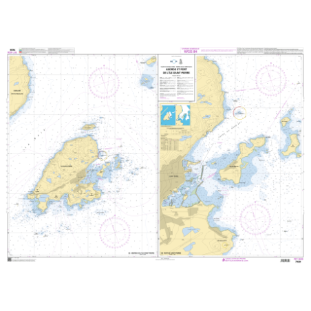 Shom C - 7639 - Abords et port de l'Île Saint-Pierre | Librairie Maritime Nautic Way