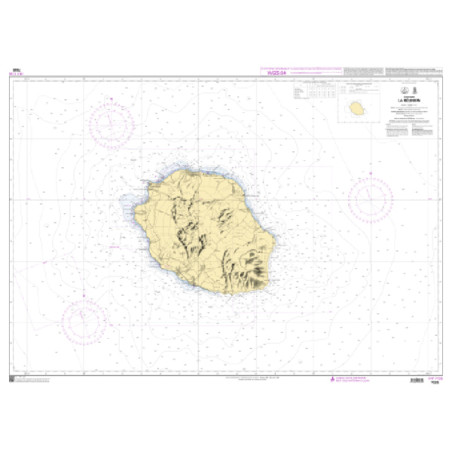 Shom C - 7035 - INT 7735 - La Réunion | Librairie Maritime Nautic Way