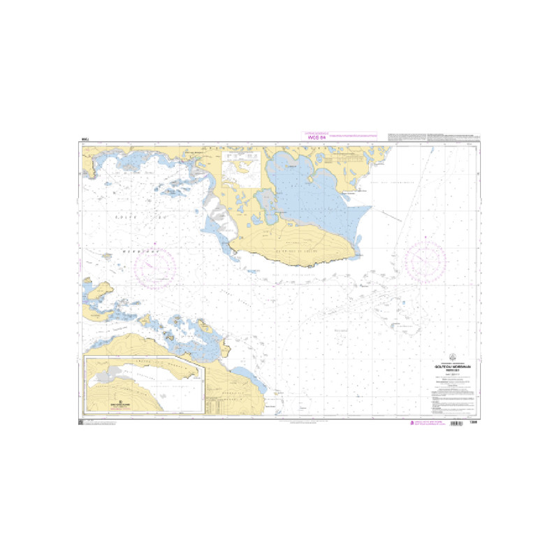 Shom C - 7358 - Iles Kerguelen - Golfe du Morbihan - Partie Est | Librairie Maritime Nautic Way