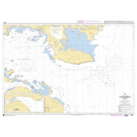 Shom C - 7358 - Iles Kerguelen - Golfe du Morbihan - Partie Est | Librairie Maritime Nautic Way