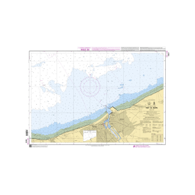 Shom C - 7317 - INT 1745 - Port de Dieppe | Librairie Maritime Nautic Way