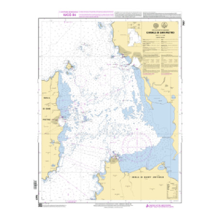 Shom C - 7607 - (fac-similé de la carte IT 294) - Canale di San Pietro | Librairie Maritime Nautic Way